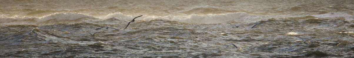 Travel and tell no one