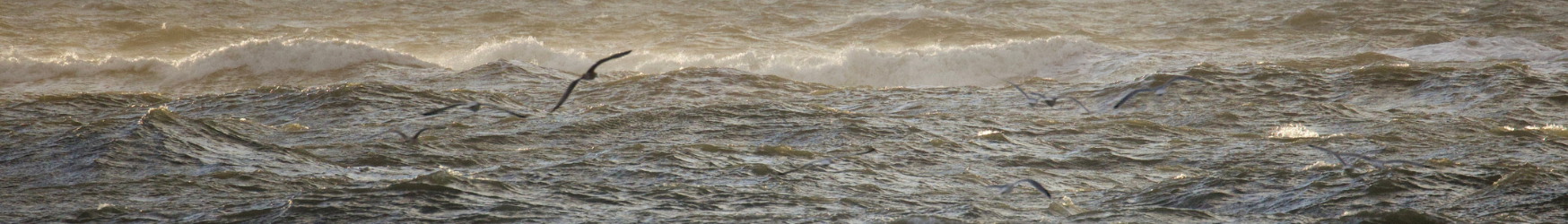 Travel and tell no one