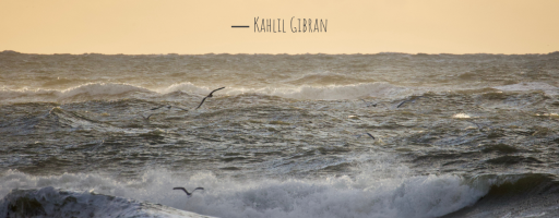 travel and tell no one